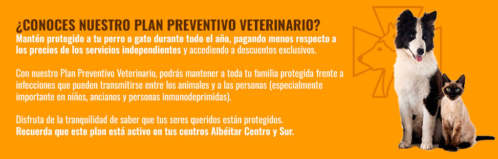 plan preventivo