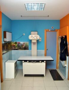 Radiología
