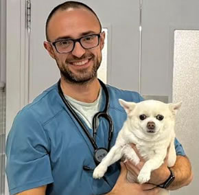 Alejandro Seisdedos Veterinario Neurologo Cordoba Alejandro Seisdedos Veterinario Neurologo Cordoba