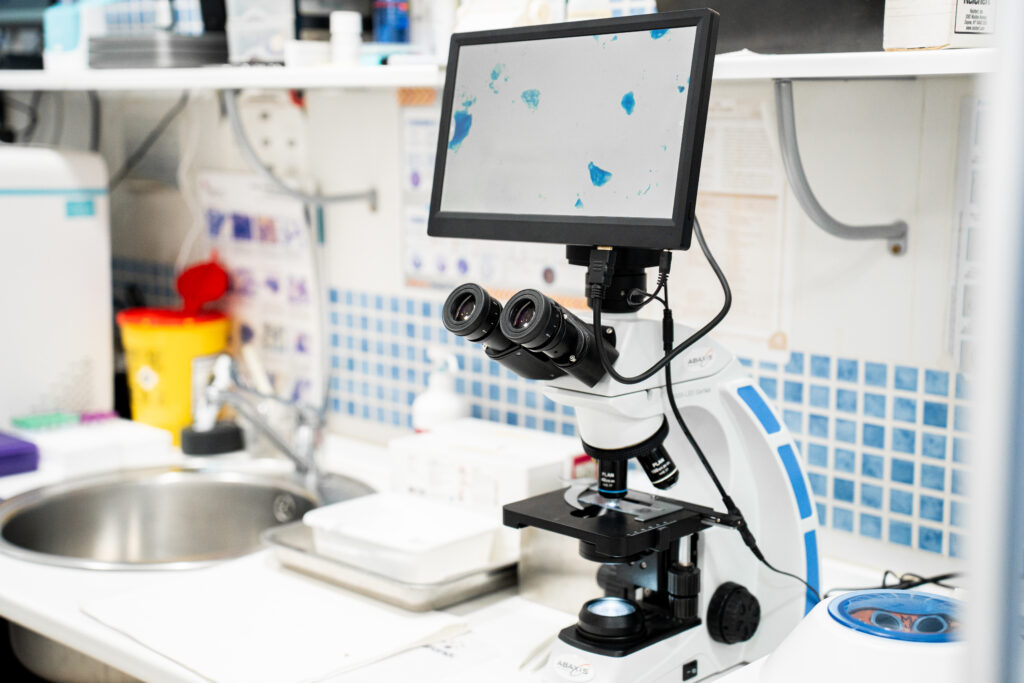 Dermatologia Veterinaria