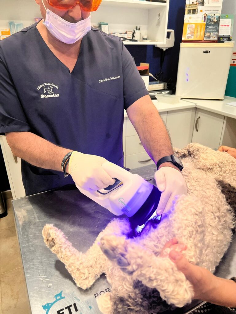 Dermatologia Veterinaria